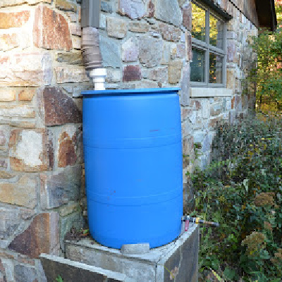Rain Barrel