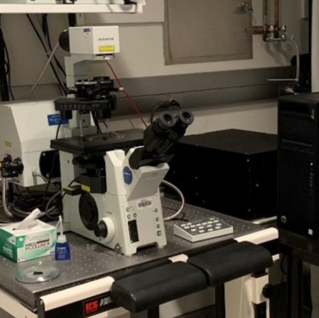 Confocal Microscope - Olympus FV1000