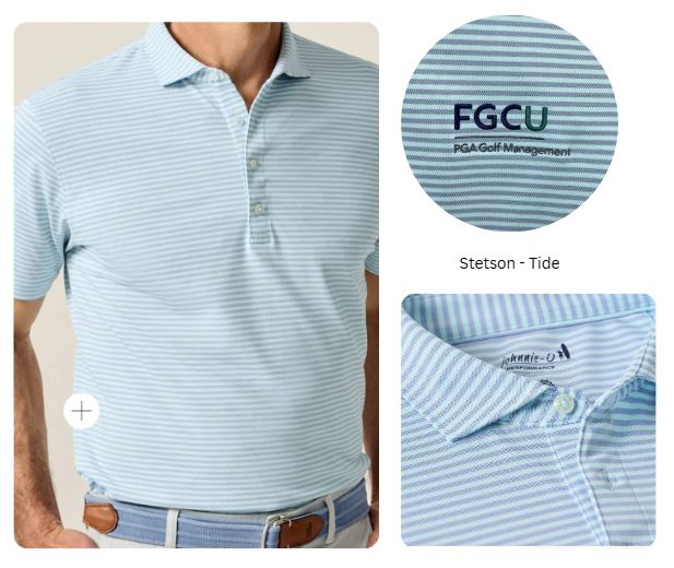 Johnnie-O Men's Perf Mesh Polo - Stetson Stripe 