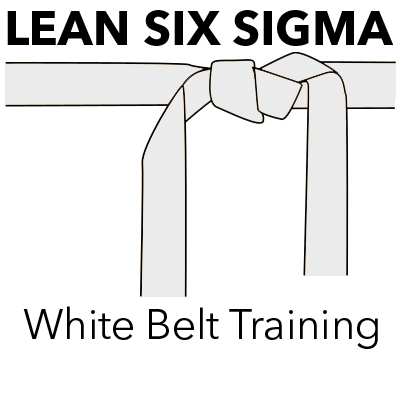 Lean Six Sigma: White Belt Training (1/2-Day Course)