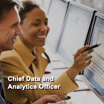 Chief Data and Analytics Officer Program
