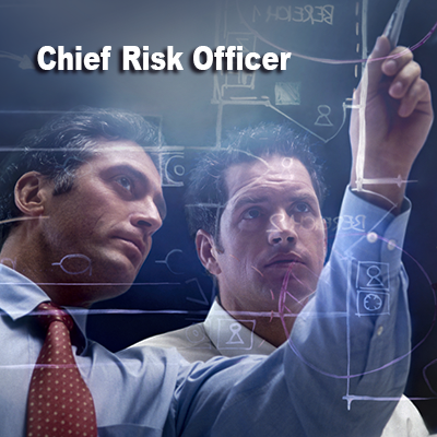 Chief Risk Officer Program