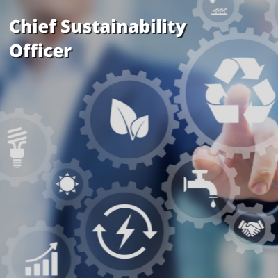 Chief Sustainability Officer Program