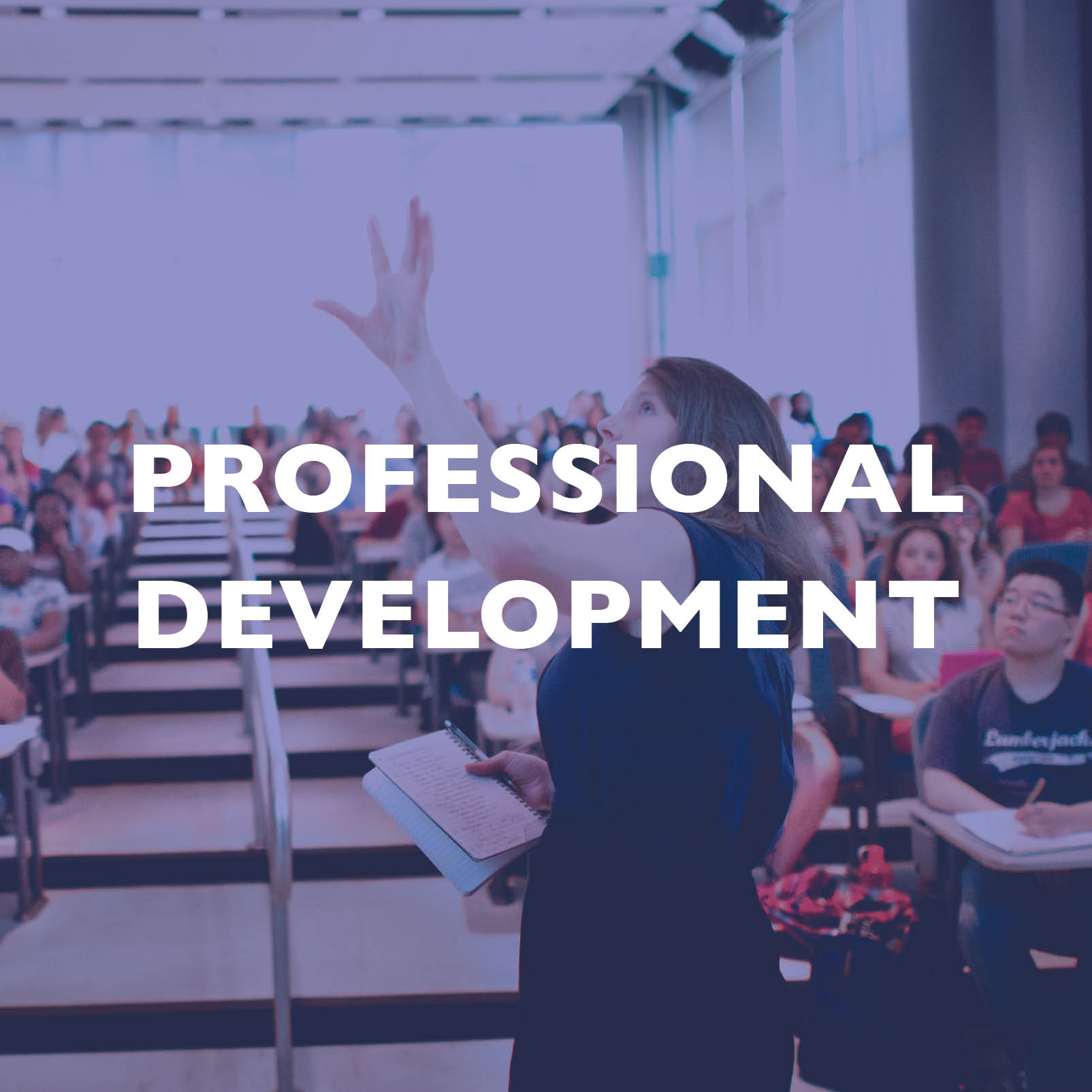 Professional Development Certification