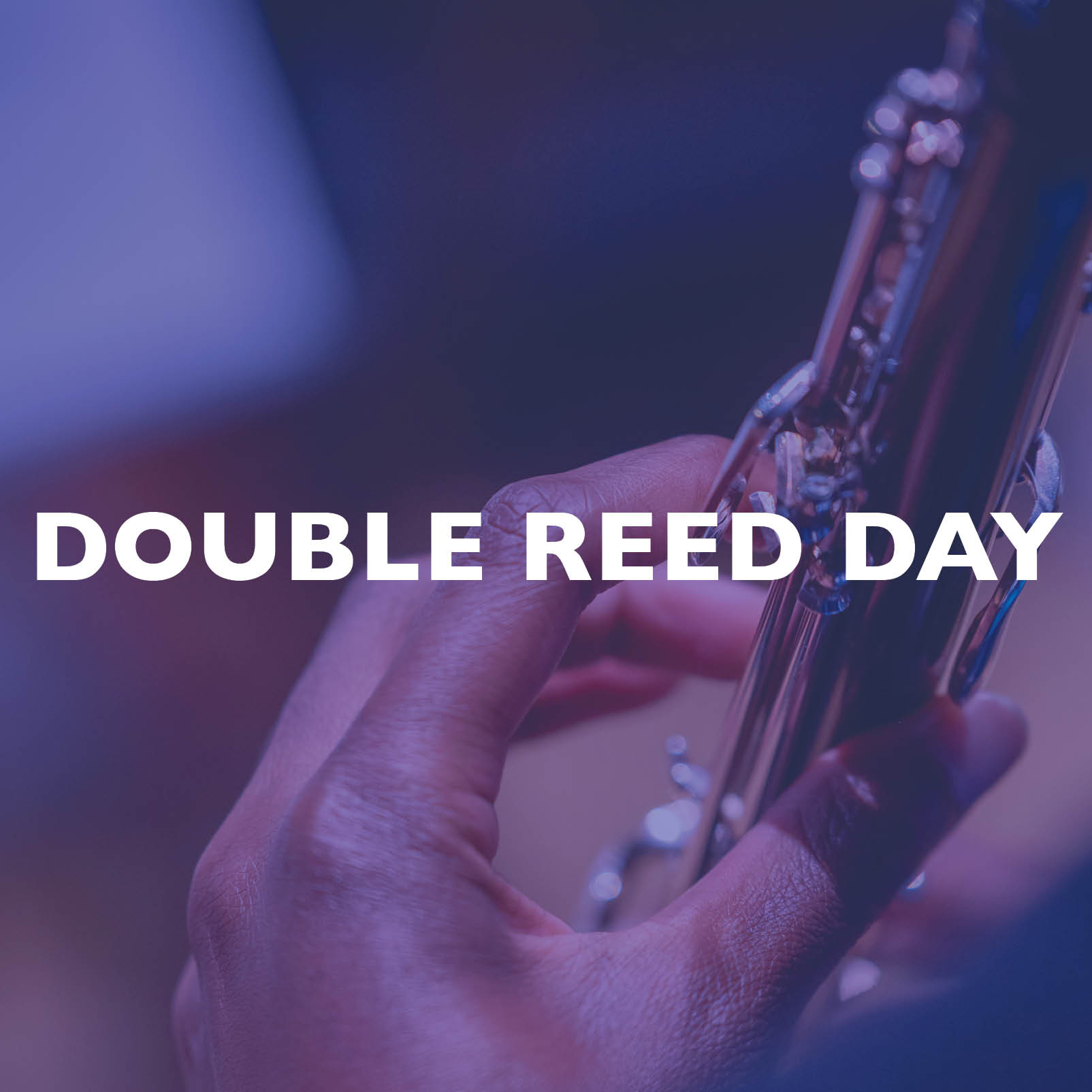 Double Reed Day Auditor
