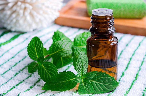 The Art of Peppermint: From Leaf to Oils to Simple Salves - Saturday, March 7th from 9:00 am-12:30 pm (Clifton Community Center)