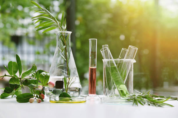 Herbal Science Lab: From Plant to Product, October 9, 10 am-12 pm