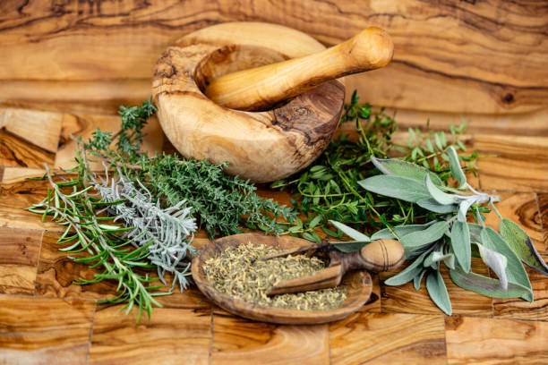 Seven Herbs, Endless Uses: Plant Science and Herb Agriculture Lab - July 20-24, 8:30 am-12:30 pm