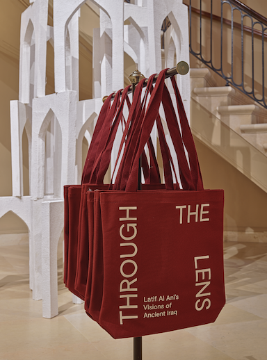 Through the Lens Tote Bag