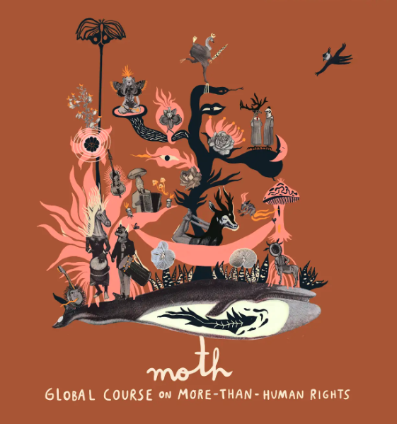 2026 MOTH Global Course Registration