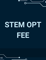 STEM OPT Fee