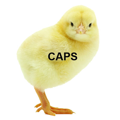 Broiler caps