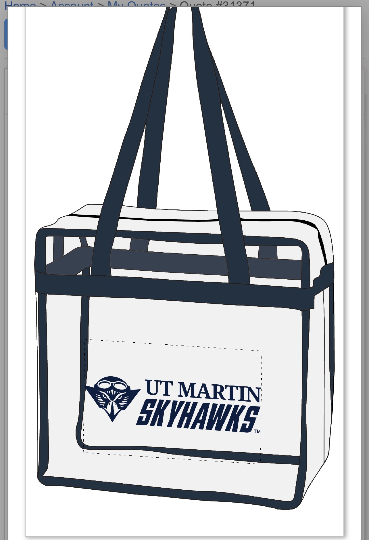 UTM Clear Stadium Bag