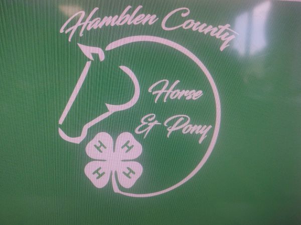 Hamblen County 4-H Horse T-Shirt