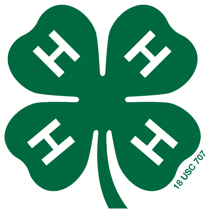 Bledsoe County Jr 4-H Camp