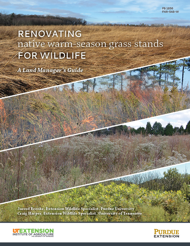 Renovating native warm-season grass stands for wildlife: A Land Manager's Guide (PB-1856)