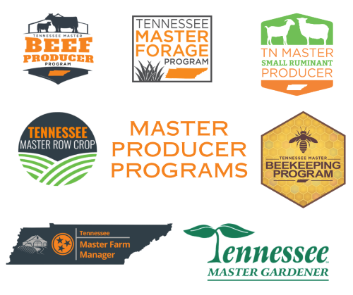 Dyer County Master Program Classes