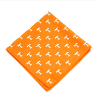 Flute Studio Pocket Square