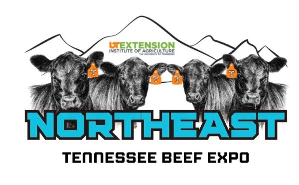 Northeast Tennessee Beef Expo (NETBE)