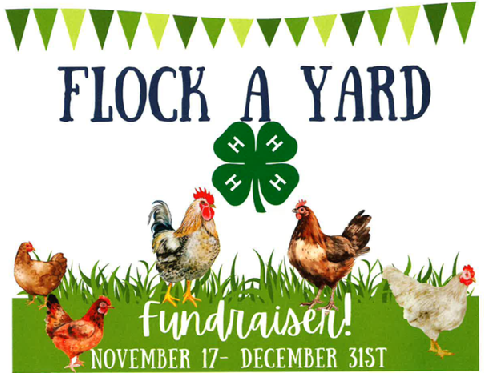  Flock a Yard- Anderson County 4-H