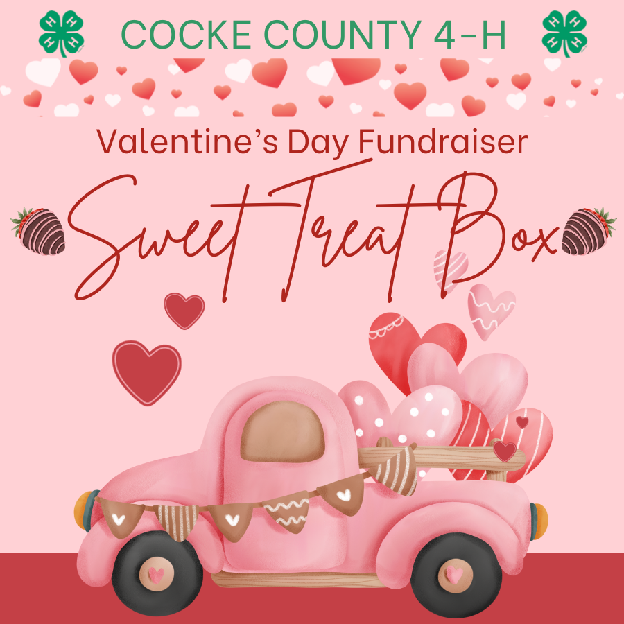 Cocke County 4-H Valentine's Fundraiser