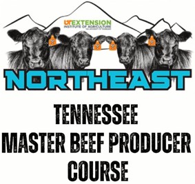 Northeast Tennessee Master Beef Producer
