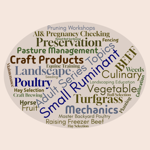 Adult Series Topic Individual Classes