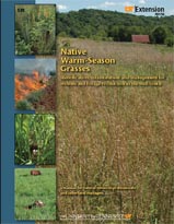 Native Warm-Season Grasses PB 1752
