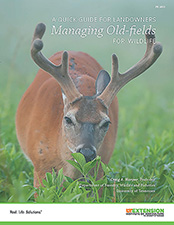 A Quick Guide for Landowners Managing Old-fields for Wildlife