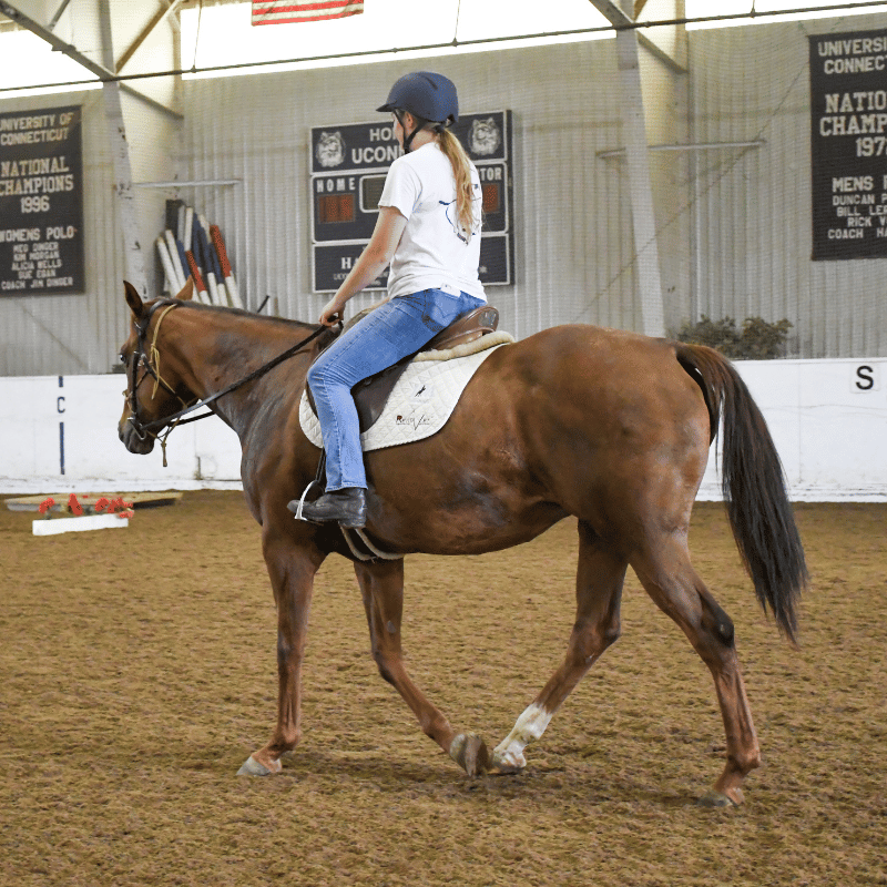 Horseback Riding - Single Lesson Fee (Trail)