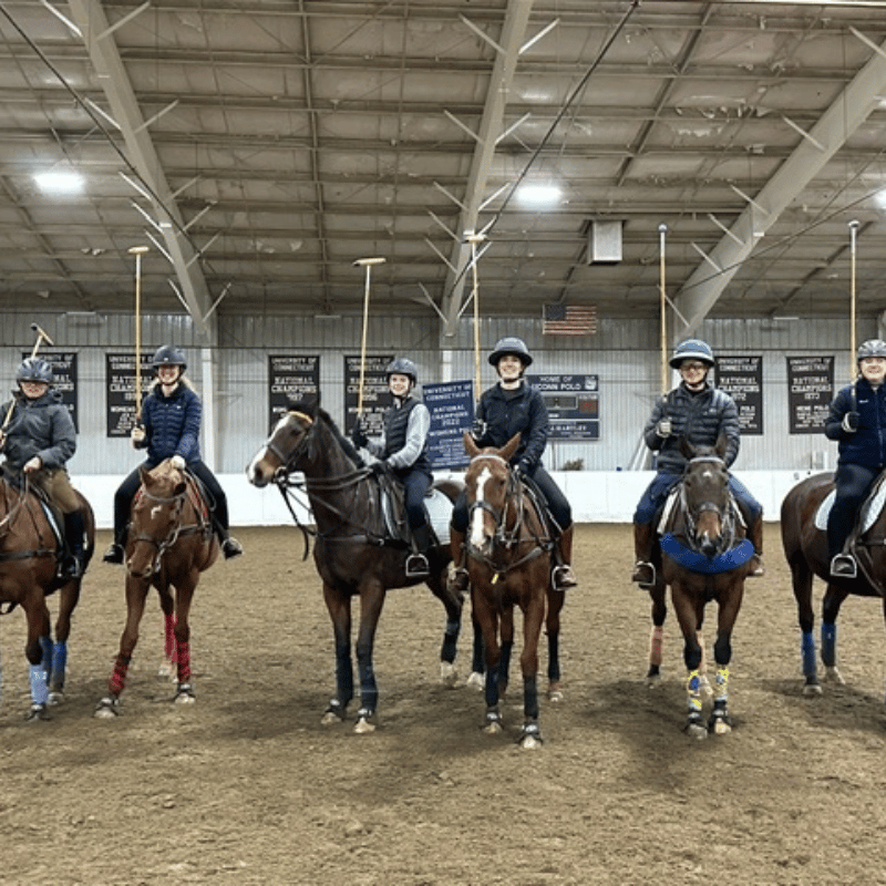 Polo Horseback Riding Lesson Package (4 Lessons/Month)