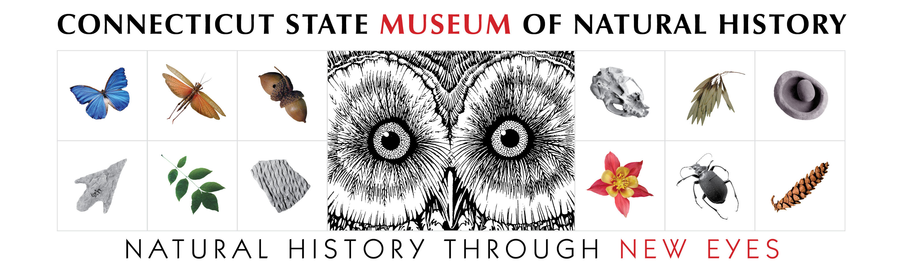 Graphic image showing the Museum's owl eyes logo with tagline "Natural History Through New Eyes"