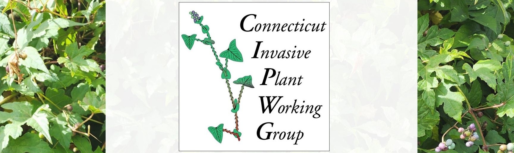 CIPWG symposium registration Oct 28, 2026