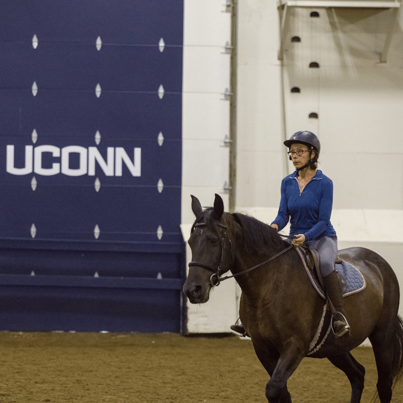 Horseback Riding – Single Private Beginner Lesson