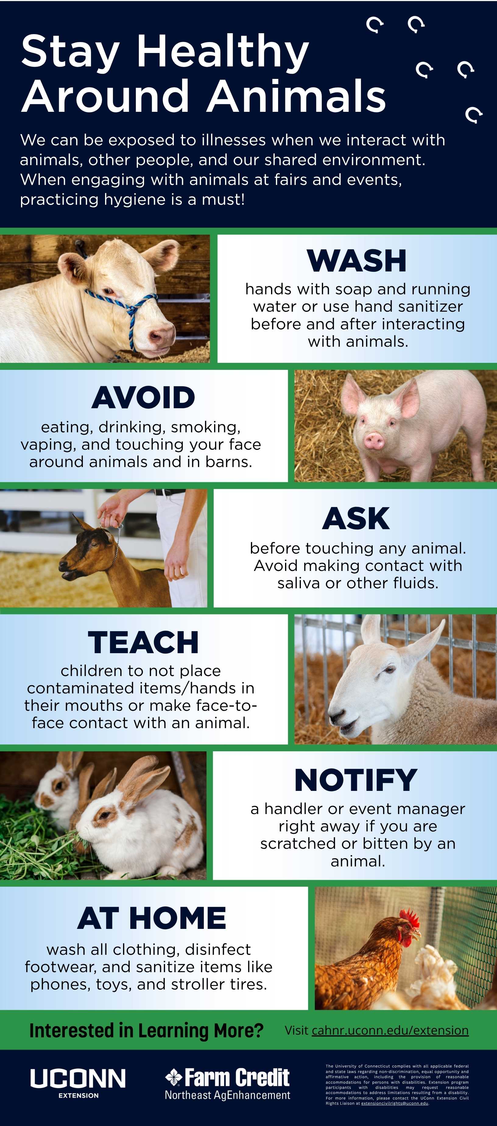 Stay Healthy Around Animals: Educational Display