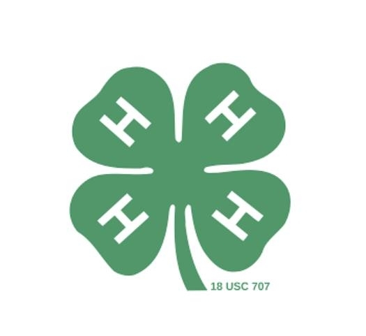 UConn 4-H State Council Leadership Summit