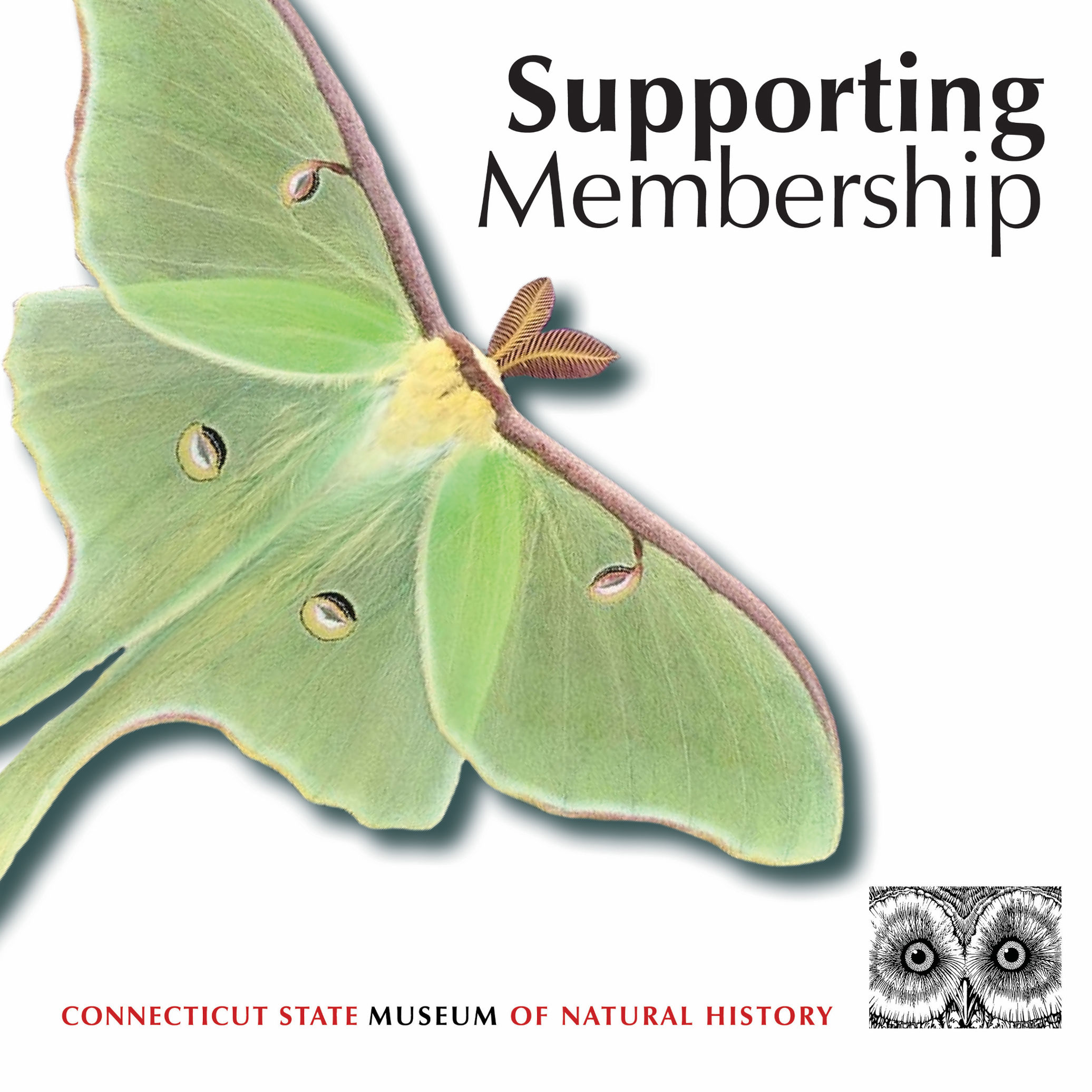 Supporting Museum Membership