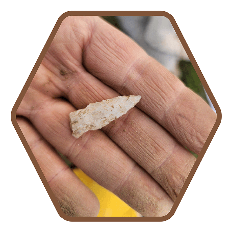 Archaeology Field School for Adults