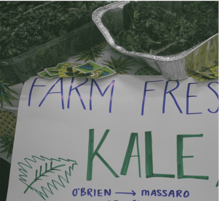 On-Farm Food Safety for Small Scale Wholesale Markets