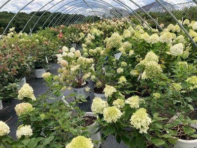 2025 UConn Nursery and Garden Center Tour