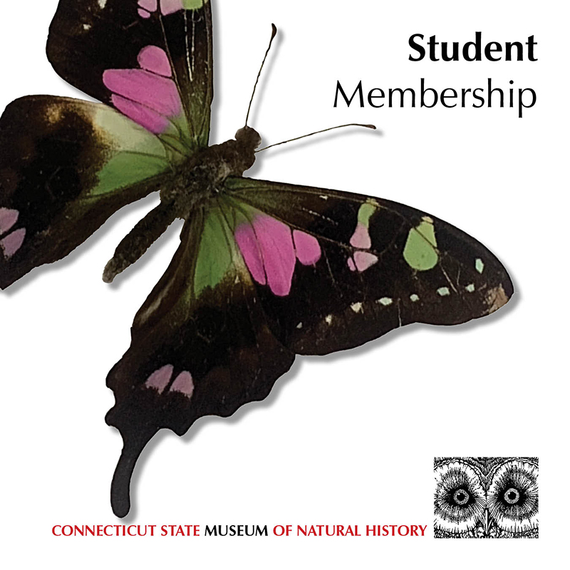 Student Museum Membership