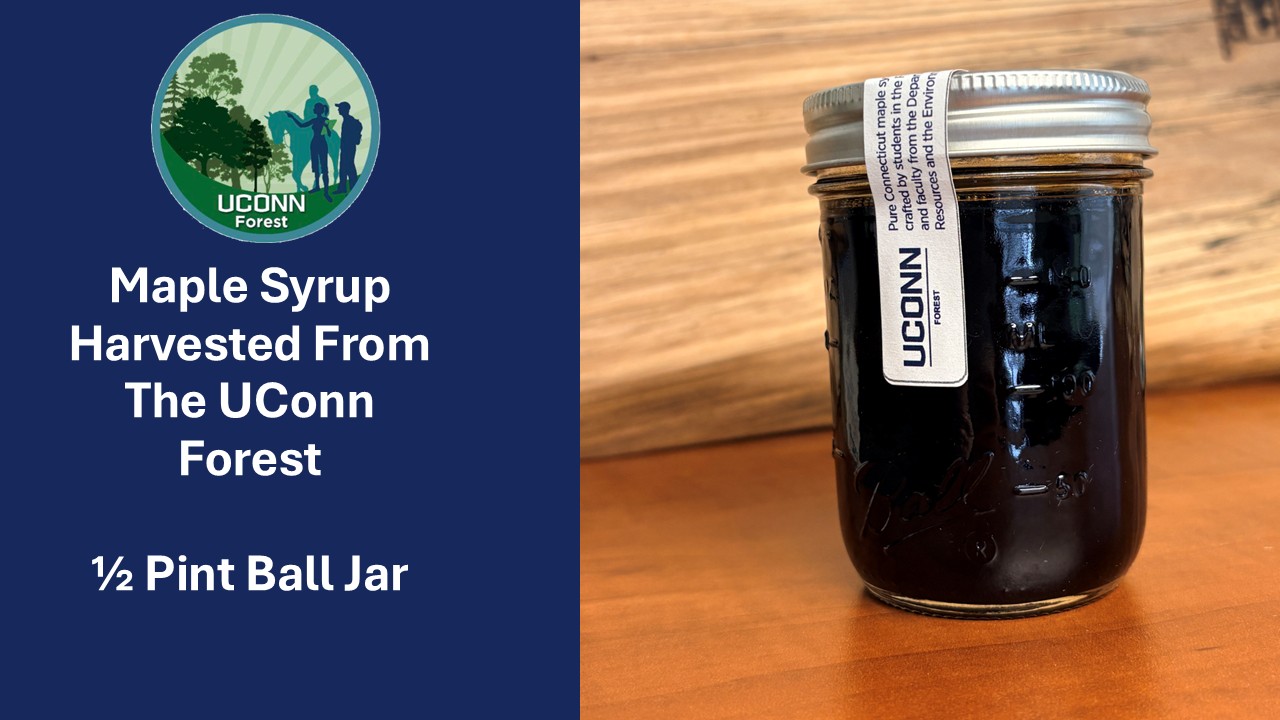1/2 Pint UConn Maple Syrup (Ball Jar)