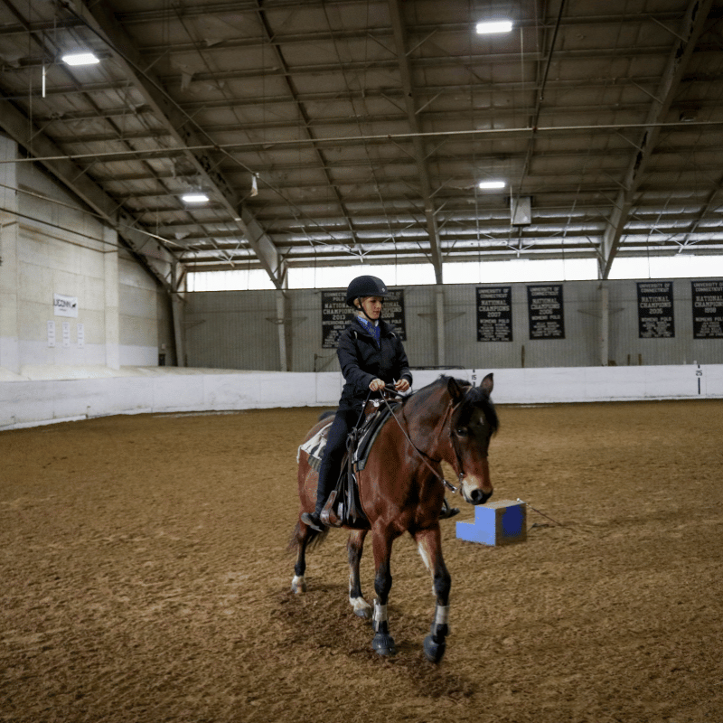 Horseback Riding Lesson Package (4 Lessons/Month)