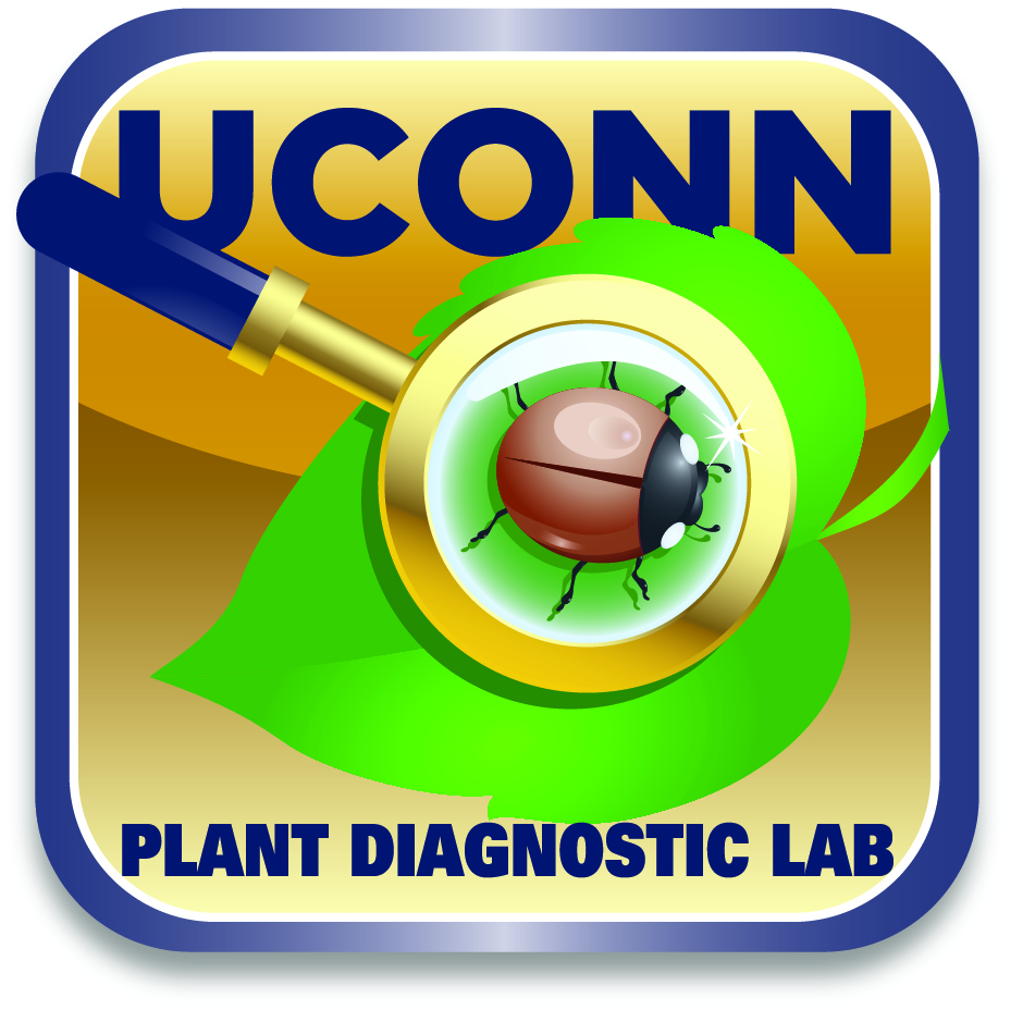 Welcome to UConn's Plant Diagnostic Laboratory Marketplace.