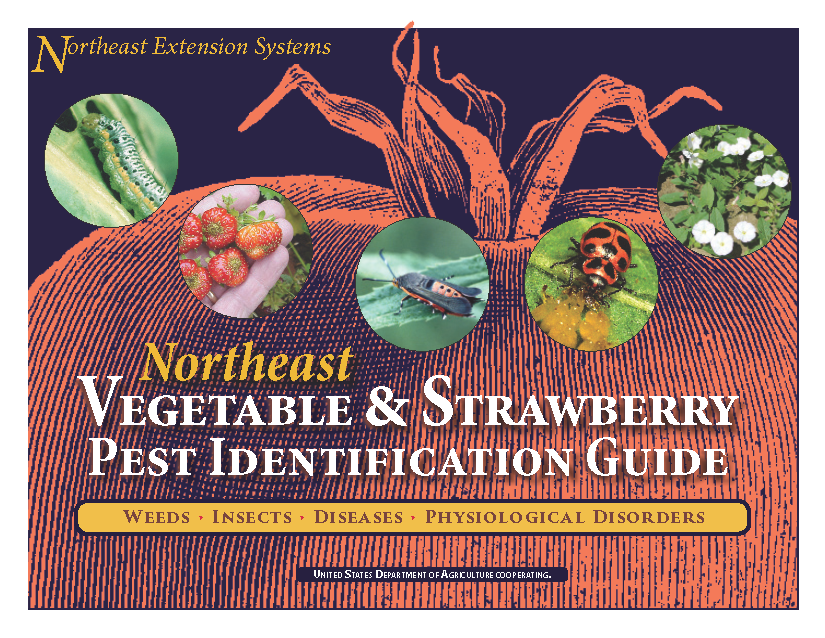 Northeast Vegetable and Strawberry Pest Identification Guide (No Shipping)