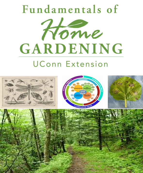 Fundamentals of Home Gardening - ENVIRONMENTALS