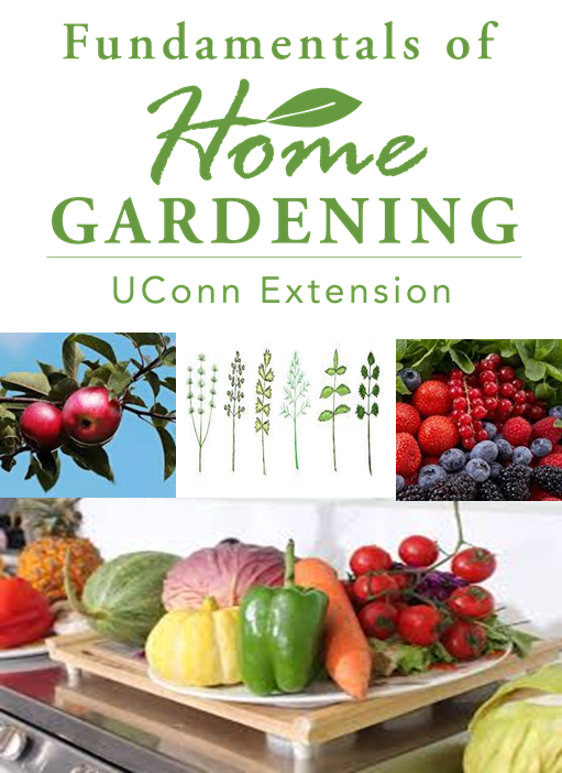Fundamentals of Home Gardening - FOODS