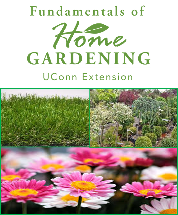 Fundamentals of Home Gardening - ORNAMENTALS