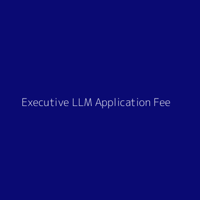 Executive LLM - Application Fee