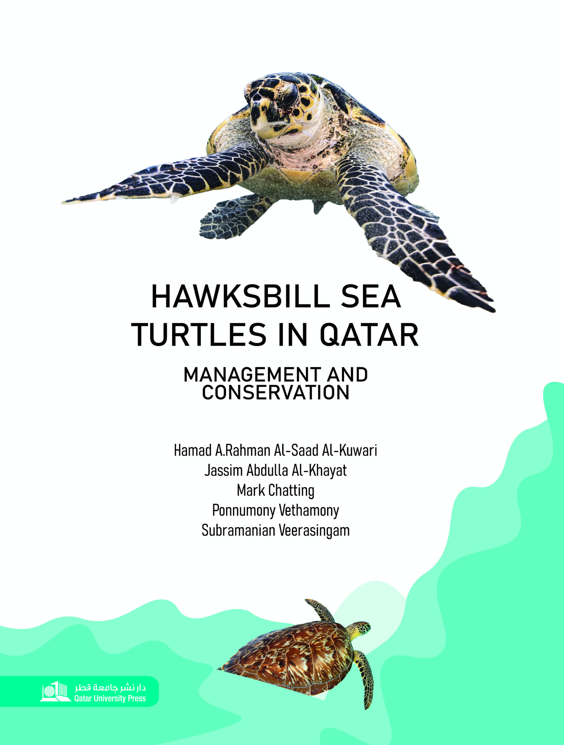 Hawksbill Sea Turtles in Qatar Management and Conservation